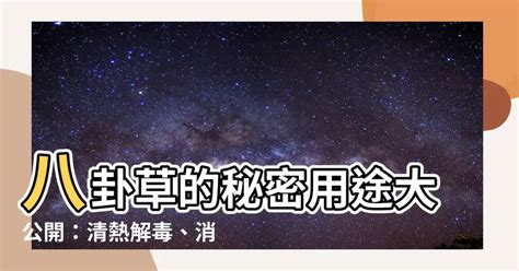 八卦草用途|【八卦草用途】八卦草的秘密用途大公開：清熱解毒、。